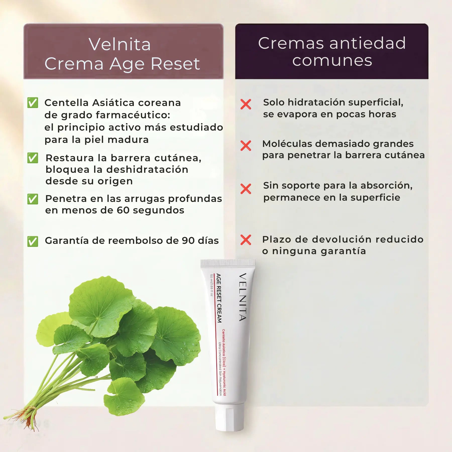 Velnita™ Crema Age Reset