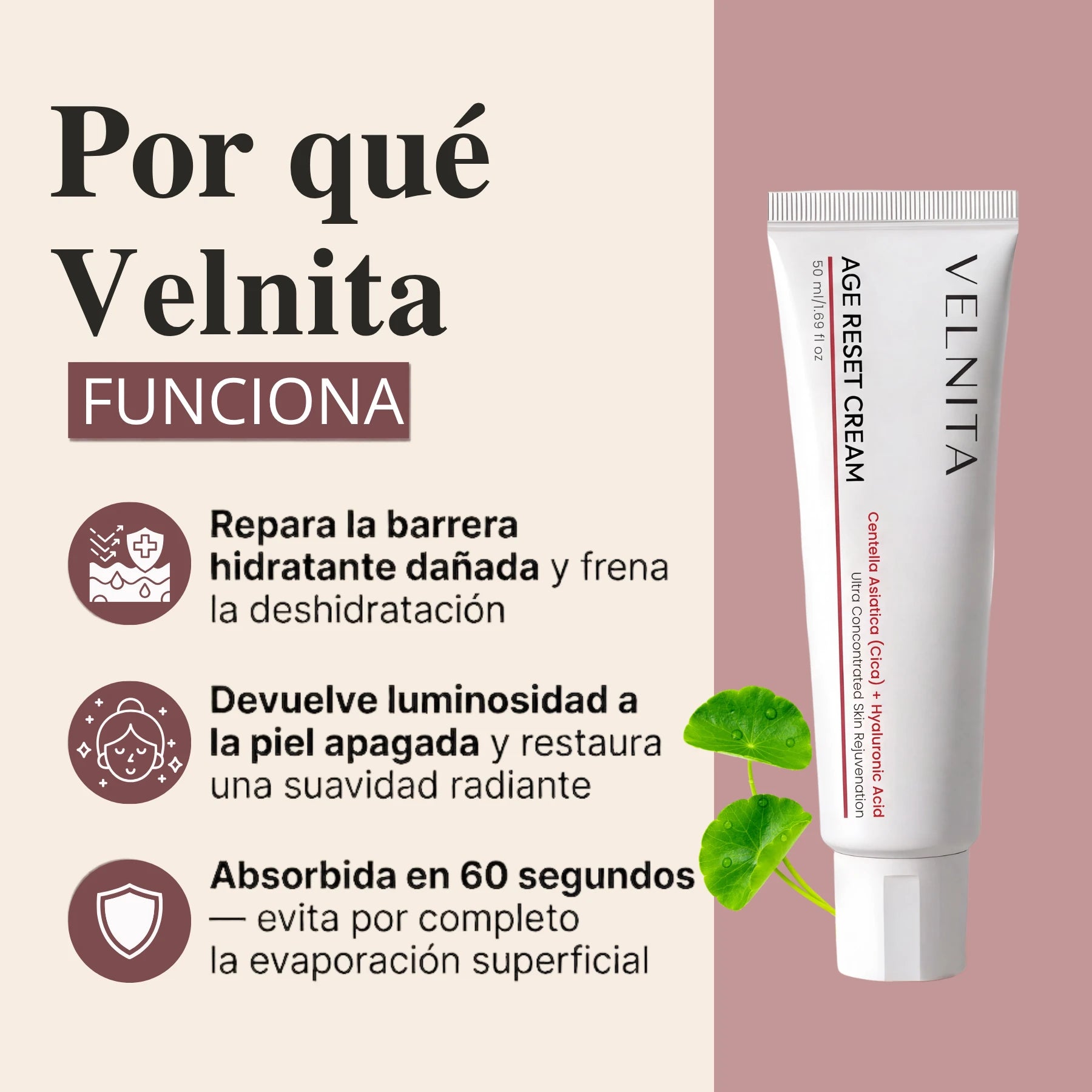 Velnita™ Crema Age Reset